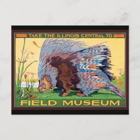 Illinois Central to Field Museum Porcupine Postkarte (Vorderseite)
