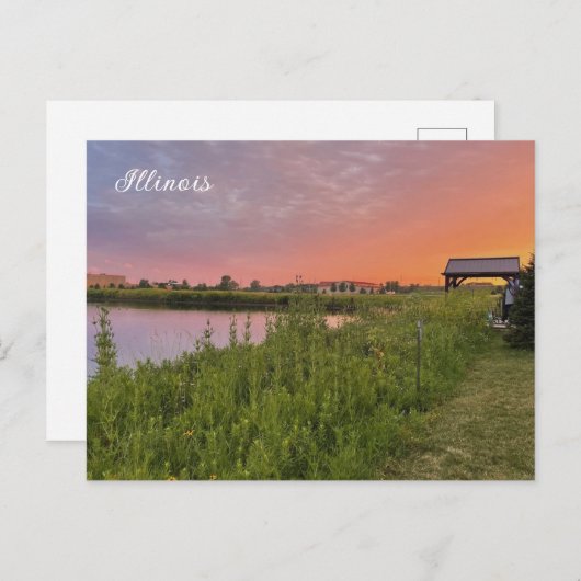 Illinois Field Postcard Postkarte (Vorne/Hinten)