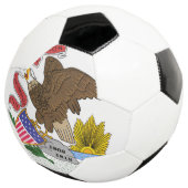 Illinois Flag Fußball (Dreiviertel)