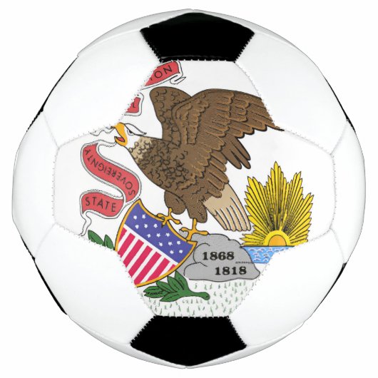 Illinois Flag Fußball (Vorderseite)