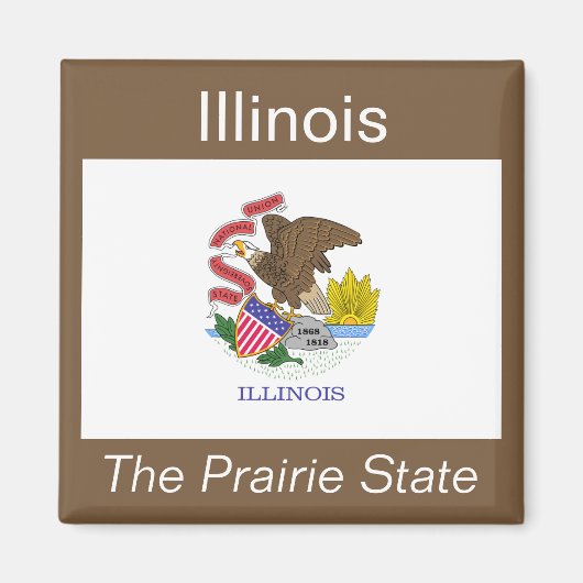 Illinois Flag Magnet (Vorne)