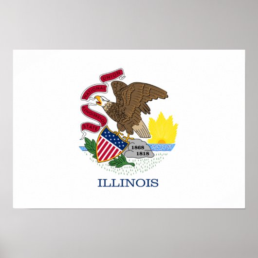 Illinois Flag Poster (Vorne)
