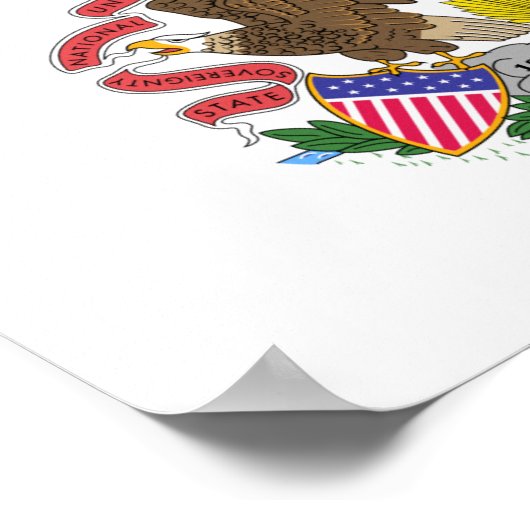 Illinois Flag Poster (Ecke)