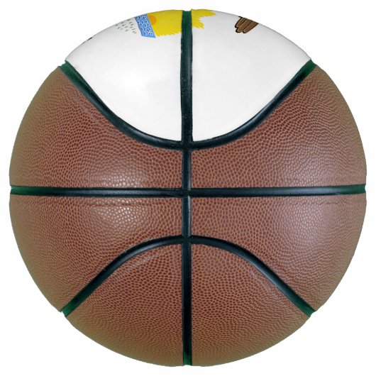 Illinois-Flagge Basketball (Rechts)