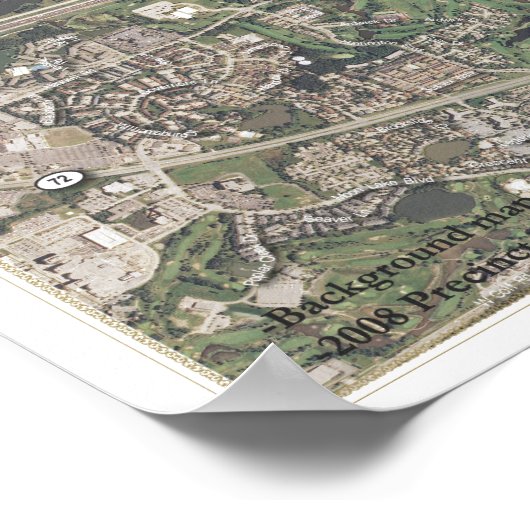 Illinois House District - 2008 General Poster (Ecke)