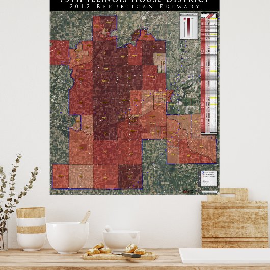 Illinois House District - 2012 Rep. Primary Poster (Küche)