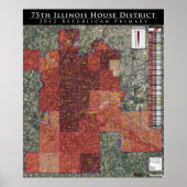 Illinois House District - 2012 Rep. Primary Poster (Vorne)