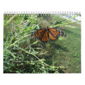 Illinois Kalender (Titelbild)