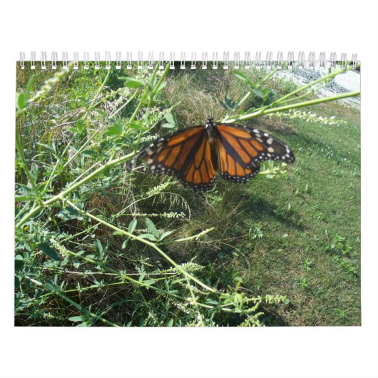 Illinois Kalender (Titelbild)