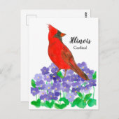 Illinois Kardinal Lila Holzgewölbe Postkarte (Vorne/Hinten)