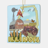 Illinois Keramikornament (Links)