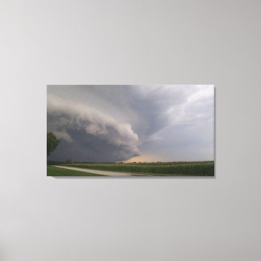 Illinois lebt leinwanddruck (Vorderseite)