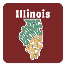 Illinois Nickname Word Art