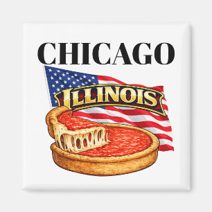 Illinois-Quadrat-Magnet  Magnet