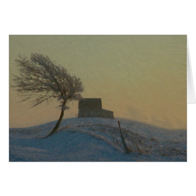 Illinois-Schnee-Sturm (Vorderseite (Horizontal))