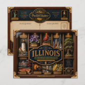 Illinois Shadow Box 3D Figurine Staat Postkarte (Vorne/Hinten)