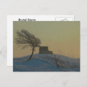 Illinois Snow Storm Postkarte (Vorne/Hinten)