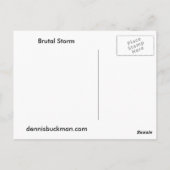 Illinois Snow Storm Postkarte (Rückseite)