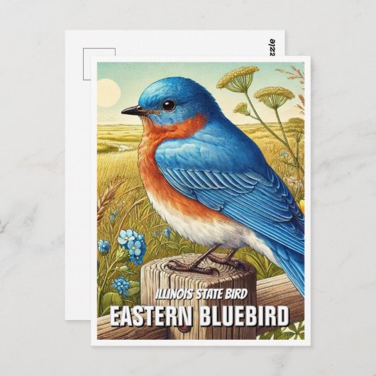 Illinois Staat Bird Eastern Bluebird Postkarte (Vorne/Hinten)