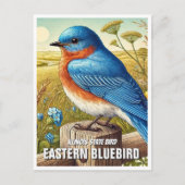 Illinois Staat Bird Eastern Bluebird Postkarte (Vorderseite)