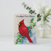 Illinois Staat Bird Handsome Kardinal Postcard Postkarte (Stehend Vorderseite)