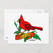 Illinois Staat Bird - Kardinal Postkarte (Vorne/Hinten)