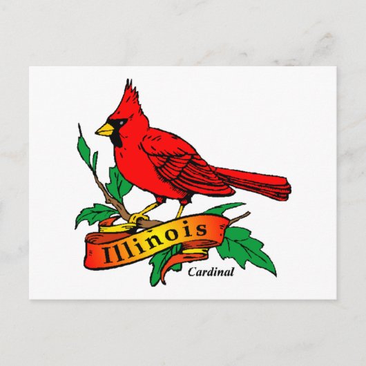 Illinois Staat Bird - Kardinal Postkarte (Vorderseite)