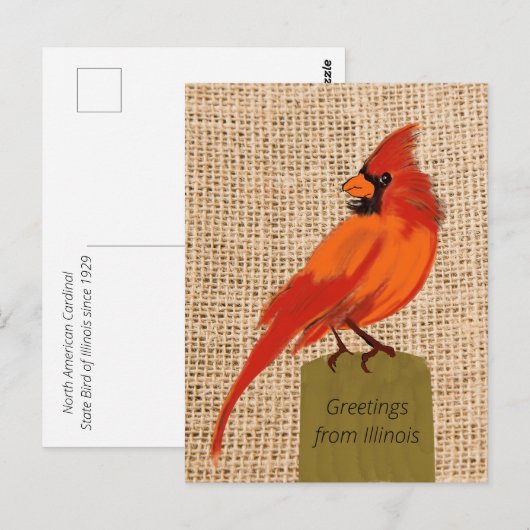 Illinois Staat Bird Postkarte (Vorne/Hinten)