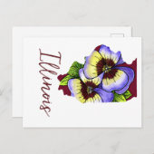 Illinois Staat Blume Postkarte (Vorne/Hinten)