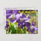 Illinois Staat Blume: Violett Postkarte (Vorne/Hinten)