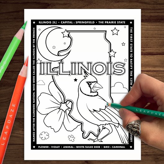 Illinois Staat Fakten Farbseite Flyer