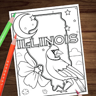 Illinois Staat form Vogel Blume Farbseite Flyer