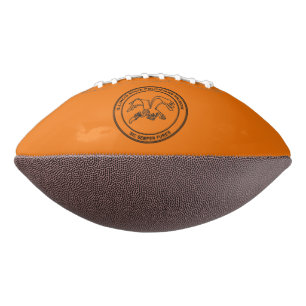 Illinois Staat Politische Gefangenschaft Football