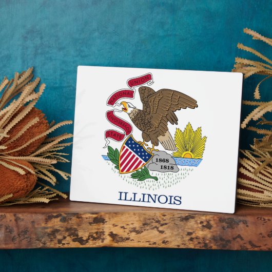 Illinois State Flag Fotoplatte (Seite)