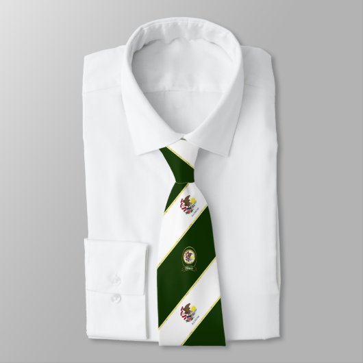 Illinois-Streifen Krawatte (Gebunden)