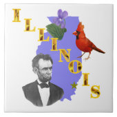 Illinois Tile (2) Größen Fliese (Vorderseite)