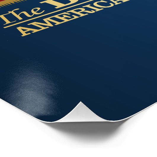 Illinois V.I. (BH) Poster (Ecke)