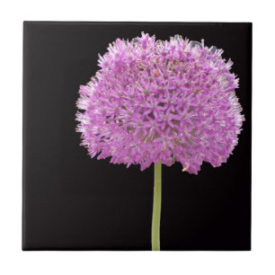 Illium Sommer Frühlingsblume - Irisches Design Fliese