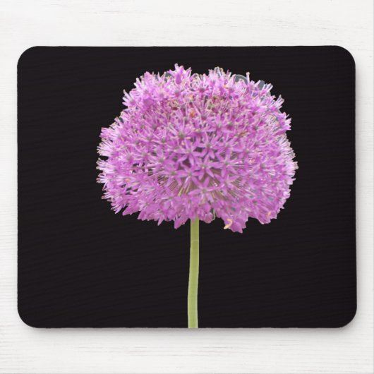 Illium Sommer Frühlingsblume - Irisches Design Mousepad (Vorne)