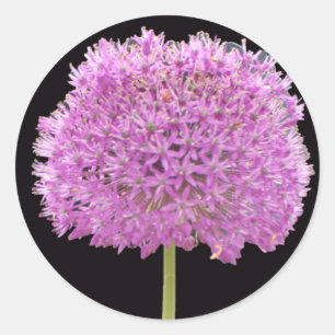 Illium Sommer Frühlingsblume - Irisches Design Runder Aufkleber