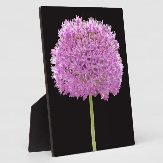 Illium Summer Spring Blume - Irish Design Fotoplatte (Seite)