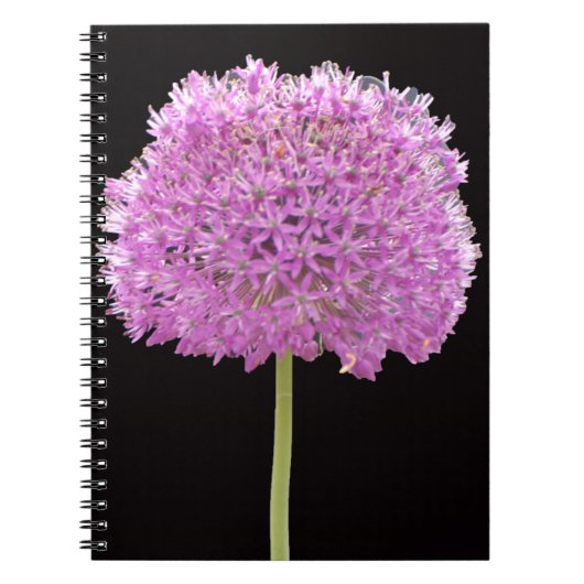 Illium Summer Spring Blume - Irish Design Notizblock (Vorderseite)