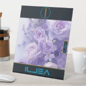 ILLJEA SOCKELSCHILD (In Situ)