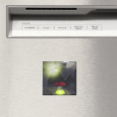 Illuminati Pyramid und UFO Magnet (In Situ (Geschirrspüler))