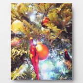 Illuminierende Ornamente Fotoplatte (Vorderseite)