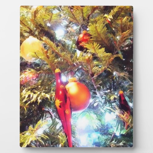 Illuminierende Ornamente Fotoplatte (Vorderseite)