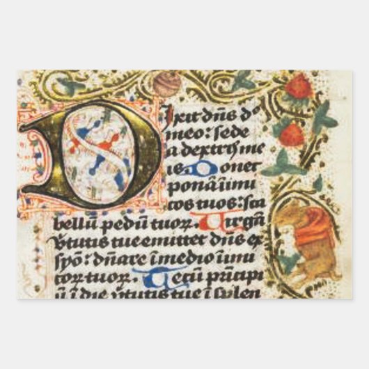 Illuminiertes Manuskript Geschenkpapier Set (Vorderseite 3)