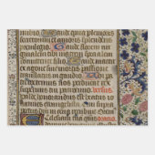 Illuminiertes Manuskript Geschenkpapier Set (Vorderseite 2)