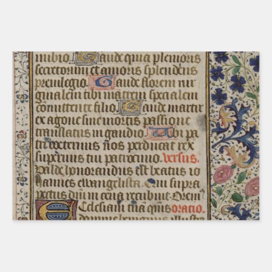 Illuminiertes Manuskript Geschenkpapier Set (Vorderseite 2)