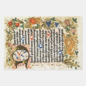 Illuminiertes Manuskriptorpapier Geschenkpapier Set (Vorderseite)